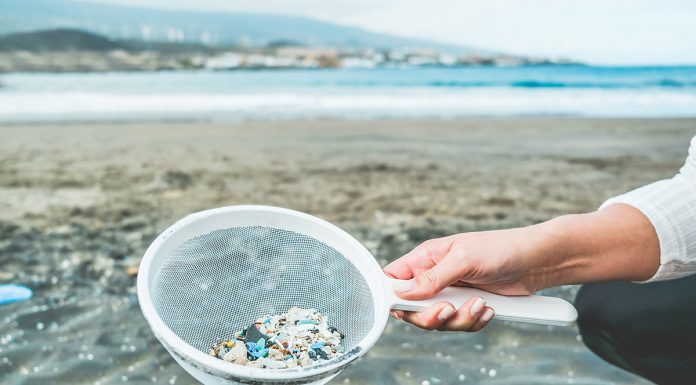 consumer plastics