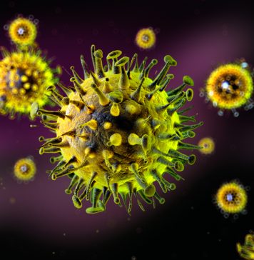 Influenza-like viruses