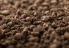 Soil.Similar photographs from my portfolio: