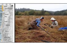 This map (left image) indicates the sites of the 24 estuaries along the coast in the Cascadia subduction zone where Tina Dura and her team took geological core samples. The photo on the right is of Brandon Hatcher and Tina Dura with a core sample. Credit Image and photo courtesy of Tina Dura.
