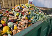 Expired Organic bio waste. Mix Vegetables and fruits in a huge container, in a rubbish bin. Heap of Compost from vegetables or food for animals.